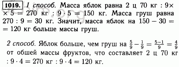 Номер 1019 - Решебник по математике 5 класс Виленкин