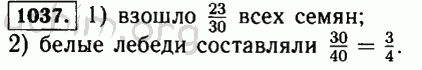 Номер 1037 - Решебник по математике 5 класс Виленкин