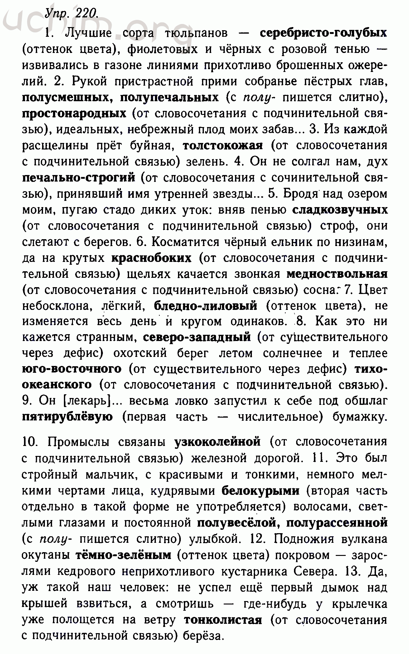 Темы проектов по русскому языку 10 11 класс индивидуальных