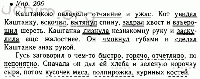 Упр 206 стр 112 4 класс. Выпишите вначале предложения в которых однородными являются. Русский язык 5 класс кот увидел Каштанку. Выпиши сначала предложение в которых однородными являются. Русский язык пятый класс упражнение 206.