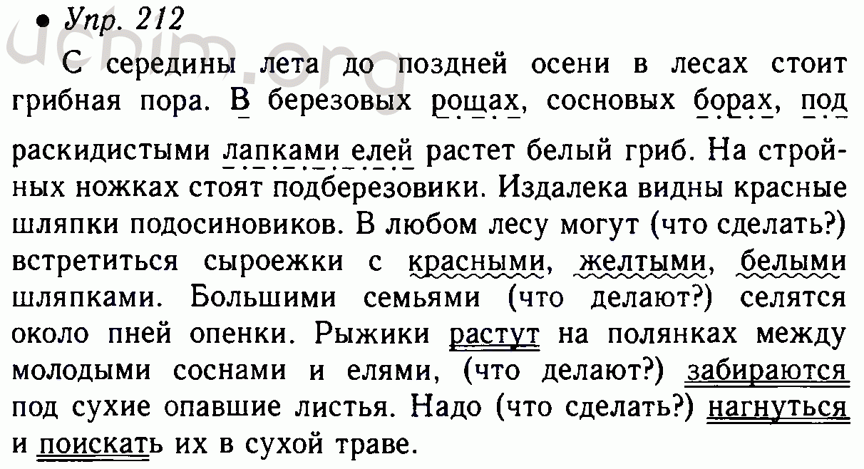 Учебник по русскому языку 5 класс упражнение