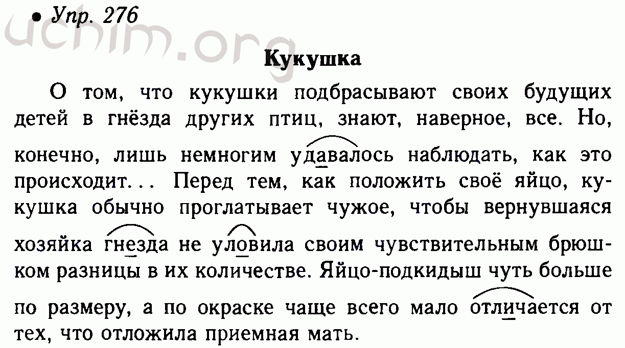 Русский язык 5 класс учебник стр 143