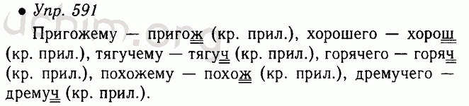 Русский язык пятый класс упражнение 591. Русский язык 5 класс ладыженская 591. Русский язык 5 класс 2 часть упр 591. Русский язык 5 класс номер 591 стр 93. Упражнение 591 по русскому языку 5 класс.