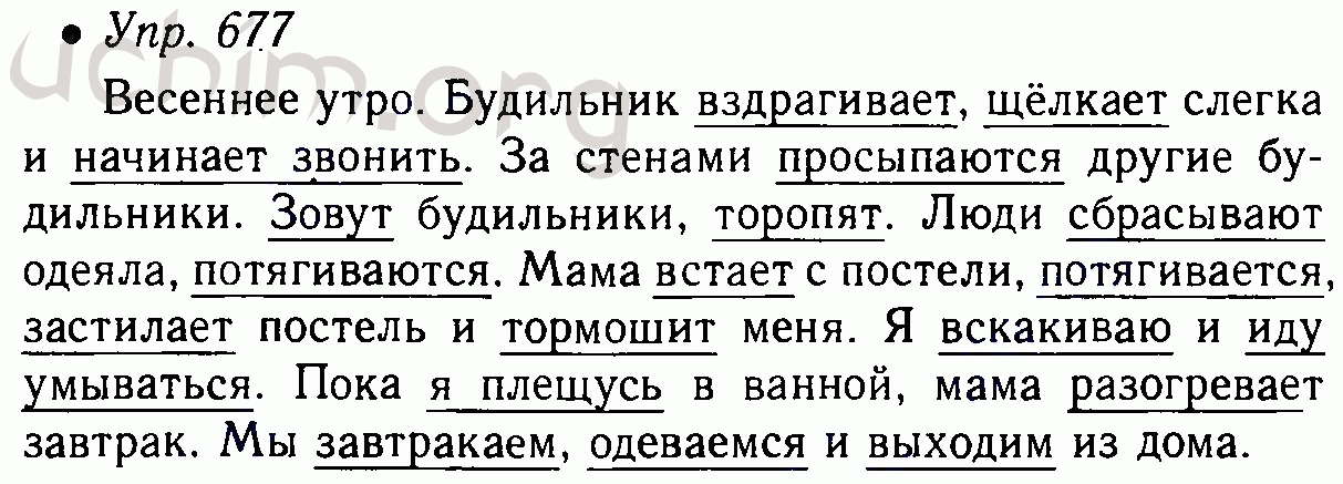 Год по русскому 5 класс