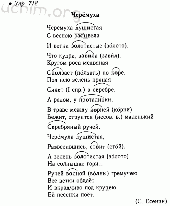 5 класс русский язык ладыженская домашнее