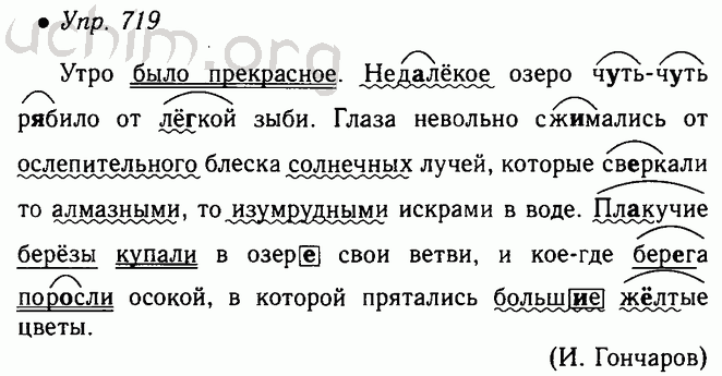 Недалекий разбор. Упр 719. Русский язык 5 класс 719. Русский язык 5 класс упражнение 719. Русский язык 5 класс ладыженская 2 часть упр 719.