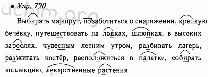 Учебный план по русскому языку 5 класс ладыженская