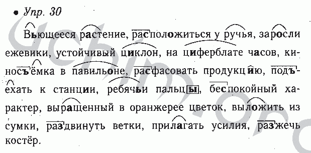 Решебник по русскому языку 6