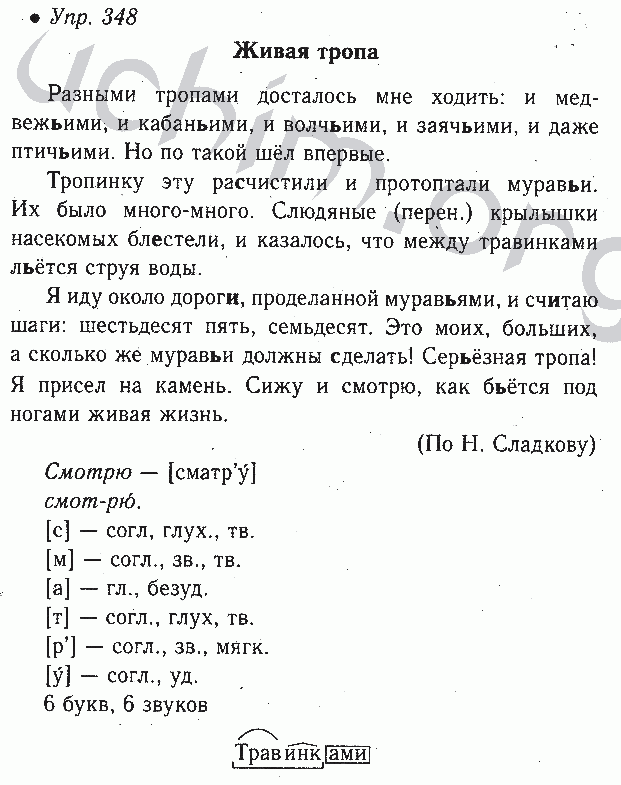 Русский язык 8 класс номер 348