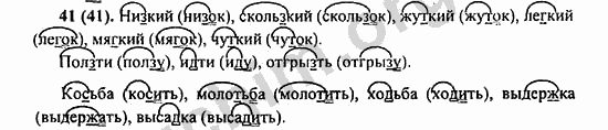 Номер 41 - ГДЗ по русскому языку 5 класс Ладыженская 2013