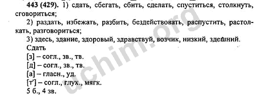 Номер 443 - ГДЗ по русскому языку 5 класс Ладыженская 2013