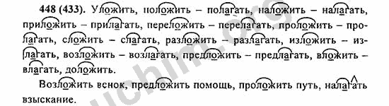 Номер 448 - ГДЗ по русскому языку 5 класс Ладыженская 2013