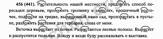 Номер 456 - ГДЗ по русскому языку 5 класс Ладыженская 2013