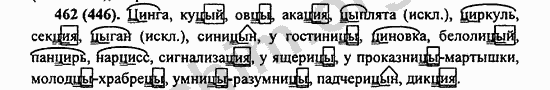 Номер 462 - ГДЗ по русскому языку 5 класс Ладыженская 2013