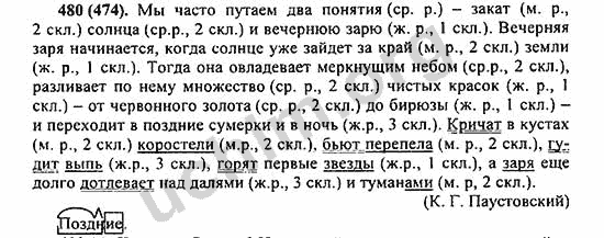 Номер 480 - ГДЗ по русскому языку 5 класс Ладыженская 2013