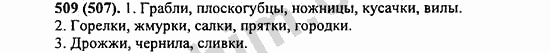 Номер 509 - ГДЗ по русскому языку 5 класс Ладыженская 2013