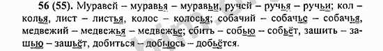 Номер 56 - ГДЗ по русскому языку 5 класс Ладыженская 2013