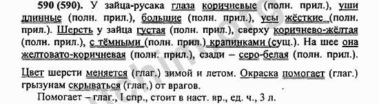 Номер 590 - ГДЗ по русскому языку 5 класс Ладыженская 2013