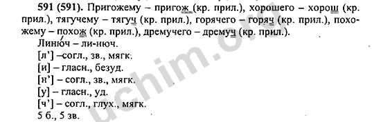 Номер 591 - ГДЗ по русскому языку 5 класс Ладыженская 2013