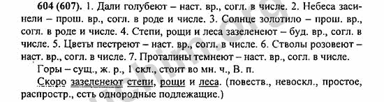 Номер 604 - ГДЗ по русскому языку 5 класс Ладыженская 2013