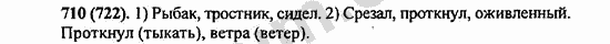 Номер 710 - ГДЗ по русскому языку 5 класс Ладыженская 2013