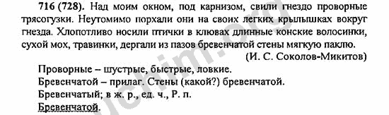 Номер 716 - ГДЗ по русскому языку 5 класс Ладыженская 2013