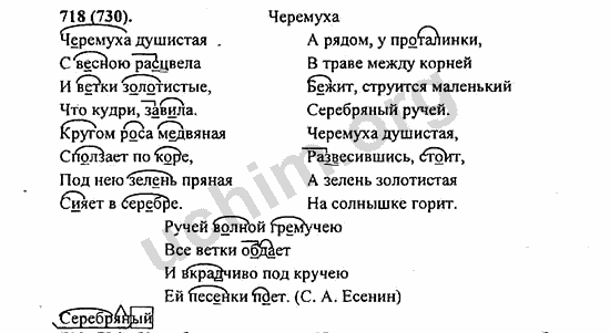 Номер 718 - ГДЗ по русскому языку 5 класс Ладыженская 2013